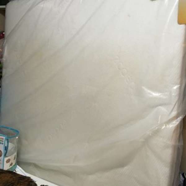Ecosa 4x6 呎雙人 乳膠床褥
