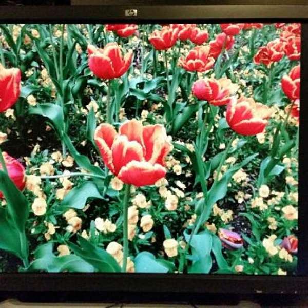 HP LP3065 30" 30吋 TFT LCD Monitor 電腦顯示器 2560×1600 60Hz