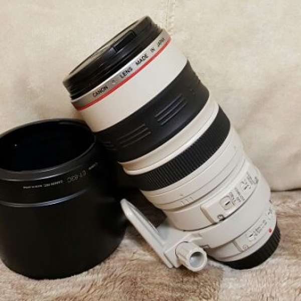 Canon 100-400 mm  f4.5-5.6 L IS USM 大白一代