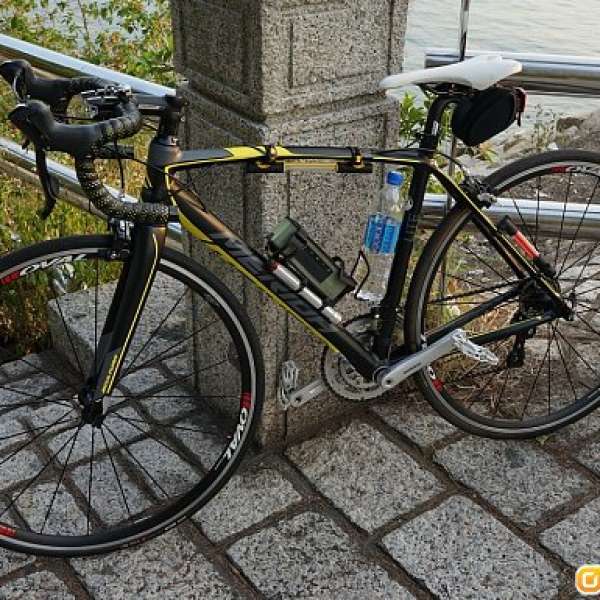 台灣 Merida scultura 901 2014 公路車 Road Bike 成車 S Size 初學者合用