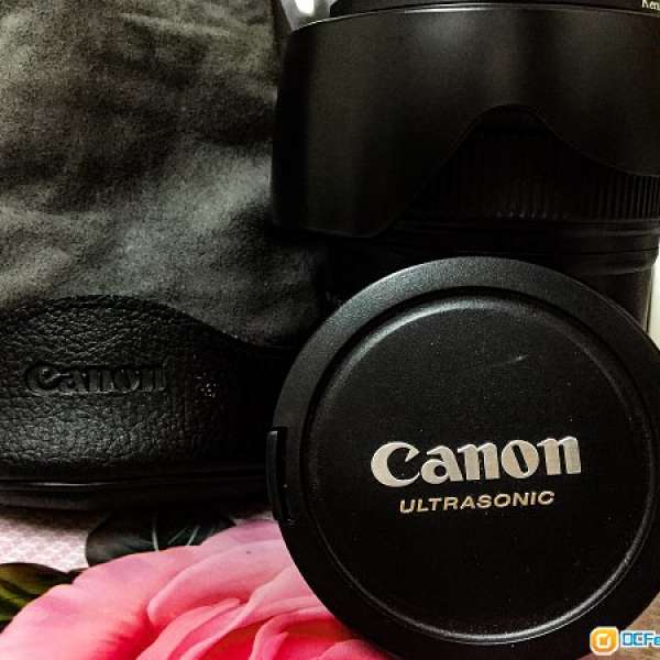 Canon 24-105 f/4 is usm