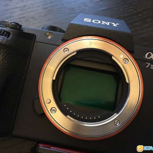 A7II body+VG-C2EM直倒
