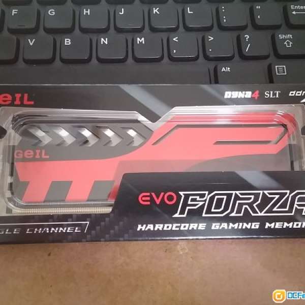 全新 Geil EVO FORZA DDR4 2400Mhz 8GB RAM 一條