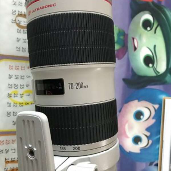 Canon EF 70-200mm F2.8 USM IS II