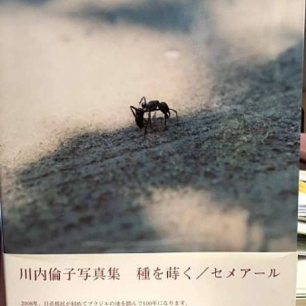 川內倫子 攝影集 -- 種を蒔く/ Semear