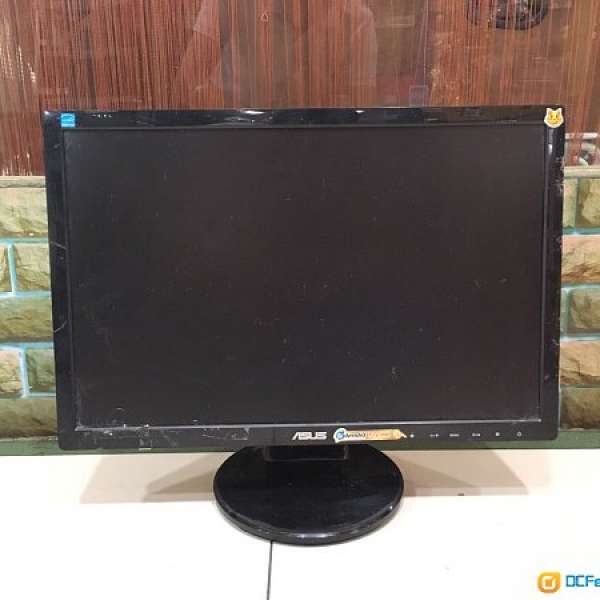 ASUS 19" LCD Monitor (19 in 16:10)