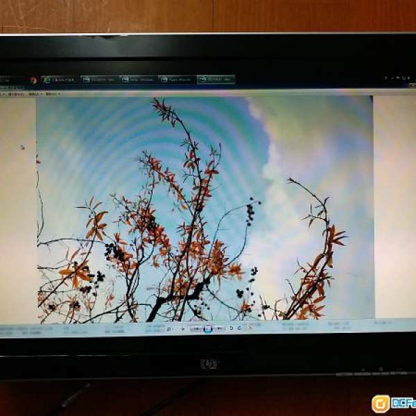 HP 24吋 LCD MON W2408h