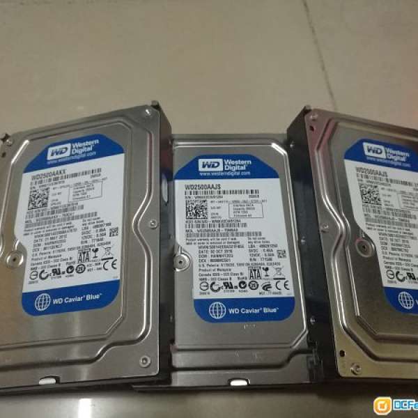 WD destop 3.5寸 HDD 250GB 3隻