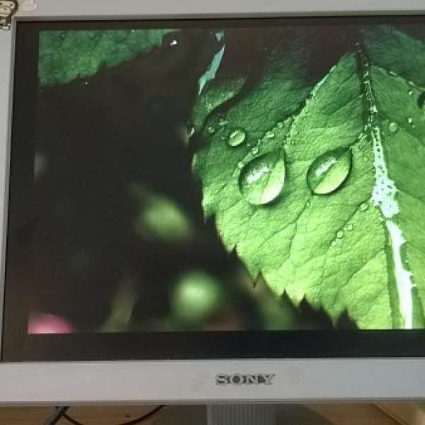 Sony 15" Monitor 電腦顯示器 型號: SDM-S53