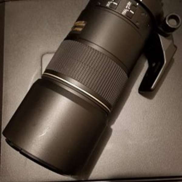 Nikon AF-S 300mm f/4D + Kenko 1.4x