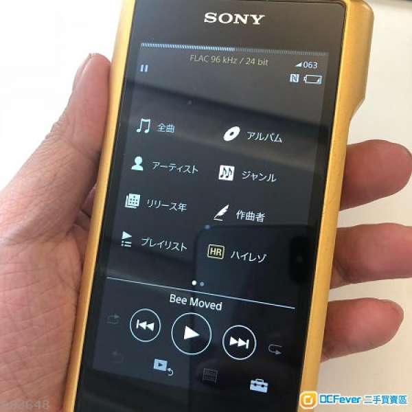 Sony wm1z 金磚