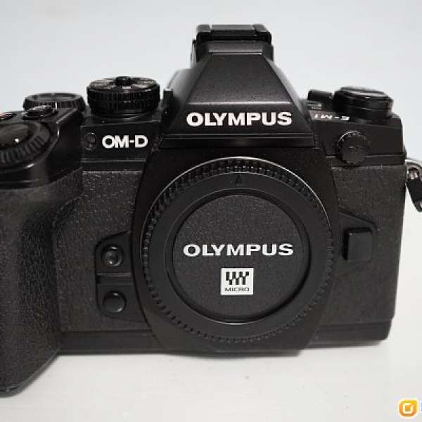 Olympus M.Zuiko M4/3 Panasonic E-M1 / 17.8 / FL-600R 閃光燈