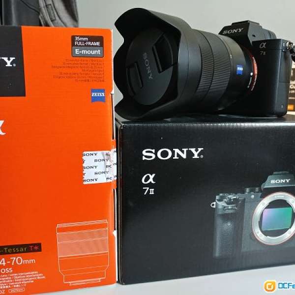 Sony A7II & Sony ZEIZZ FE 24-70mm