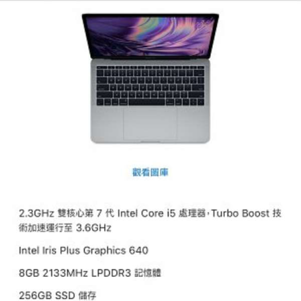 MacBook Pro 13-inch 2018 (Space Gray / 2.3G Hz / 8GB / 256GB)