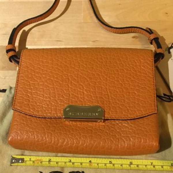 Burberry mini Bag (9成新）