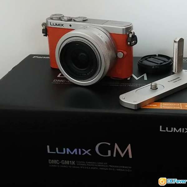 Panasonic GM1 + LUMIX G VARIO 12-32mm / 3.5 -5.6 ASPH / OIS + Grip