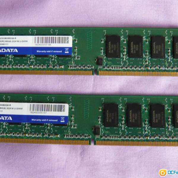 ADATA Premier DDR2 800 2G 雙面 Ram 2條共4G 代理永久保用