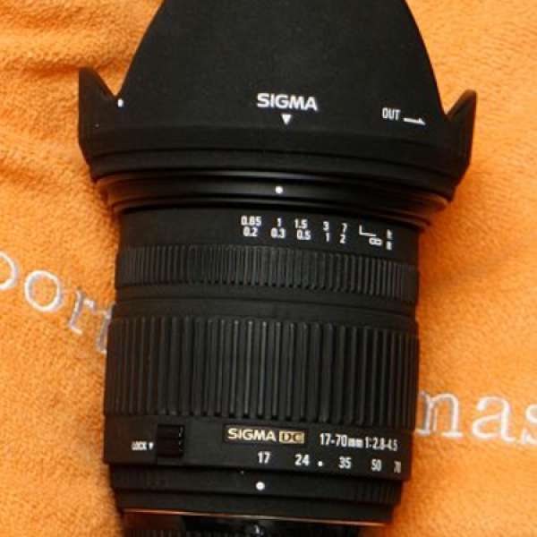 Sigma 17-70 f2.8-4.5 DC Macro for Nikon ( 加接環可用於 sony a7, m43, fuji )