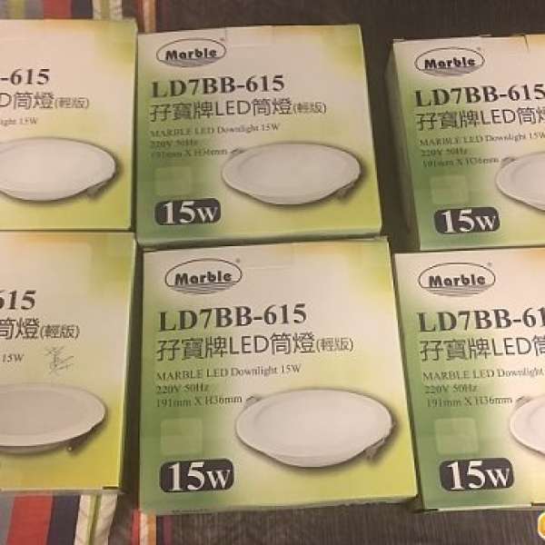 $100 MASA 15W LED LIGHT 連火牛共6支