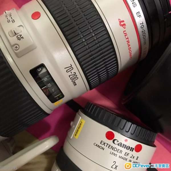 EF 70-200 f2.8L (*non IS) and EF 2x II .