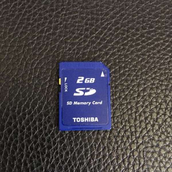 SD card + MicroSD card