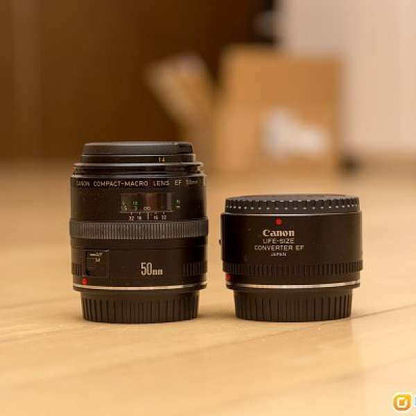 Canon EF 50mm f/2.5 Compact Macro 連 Life-size Convertor 真微距 (85新)