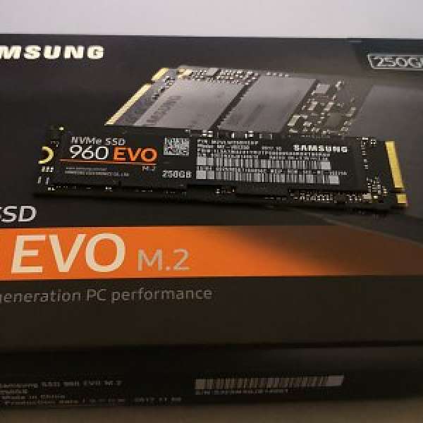 Samsung 960 EVO M.2 NVMe 256G SSD