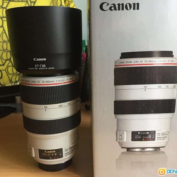 Canon EF 70-300mm F/4-5.6L IS USM 90%New