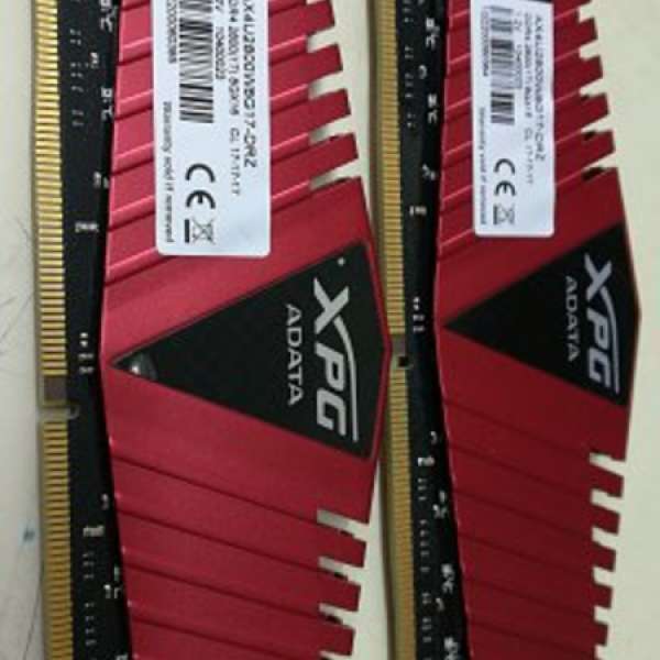 Adata XPG DDR4 2800 8G 兩條