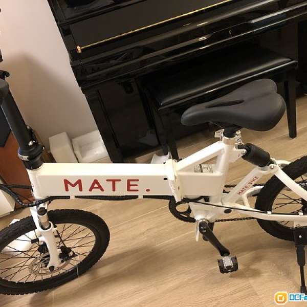 Mate S bike 單車