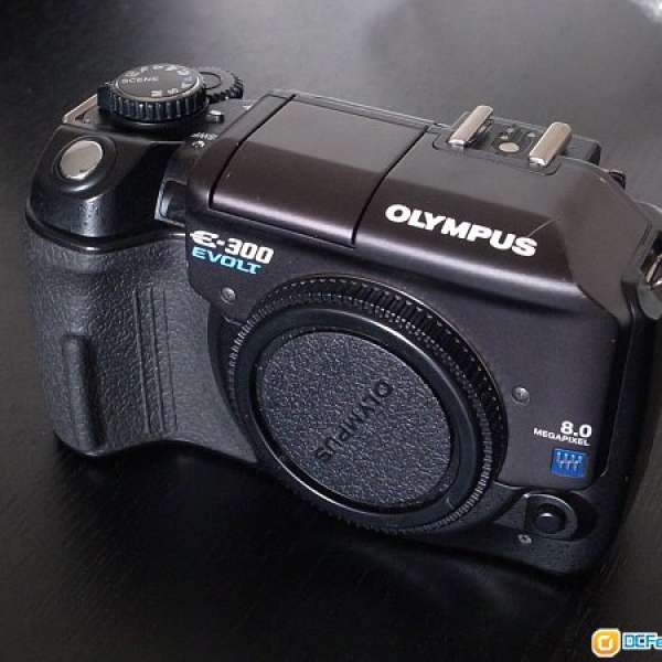 Olympus E-300 E300 kodak ccd not E1 E-1 E-500 E500