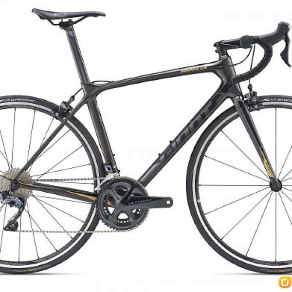 全新2019 GIANT TCR Advanced 1 KOM [山路 