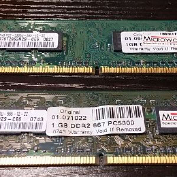 2條DDR2 667  RAM 1G Microworks