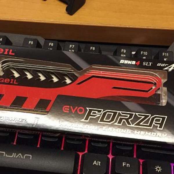 Geil EVO Forza Red DDR4 2400mhz 8G ram