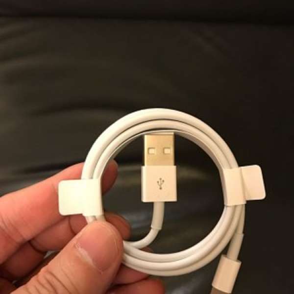 100%原廠 iPhone 充電線 數據線 iPad Airpods Lightning Cable charging