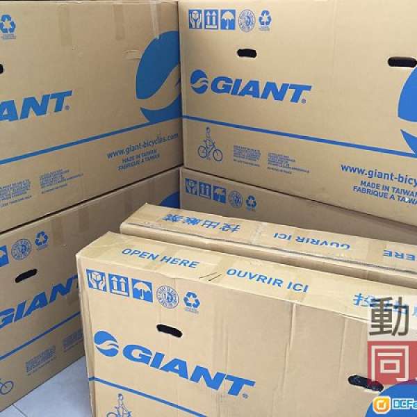 GIANT Contend 1 (2019) 鋁架 碳叉公路車 road bike 性價比高