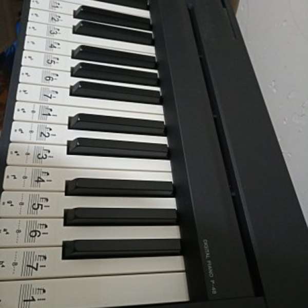 Yamaha p48 數碼鋼琴
