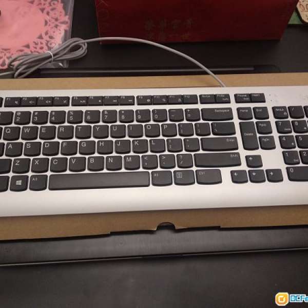 全新 Lenovo 銀色有線Keyboard