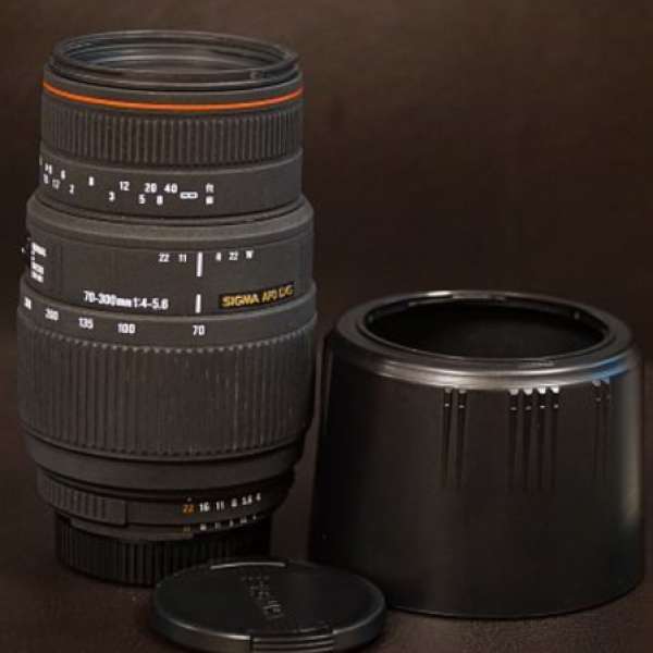 Sigma 70-300mm f4-5.6 APO DG (Nikon DG)