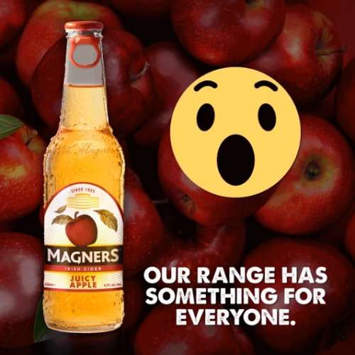 Magners Juicy Apple 蘋果酒 一箱24支