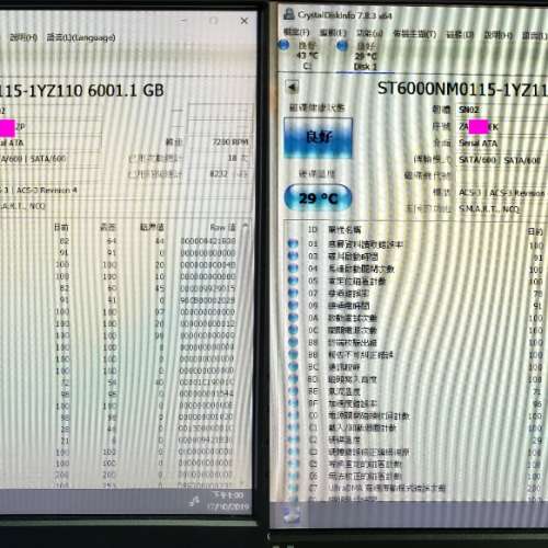 Seagate Enterprise Capacity【企業級】3.5" 6TB Hard Disk 硬碟