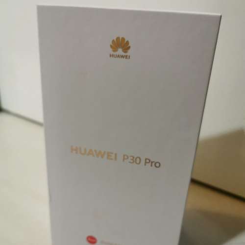 Huawei P30 Pro 原裝跟機透明殼