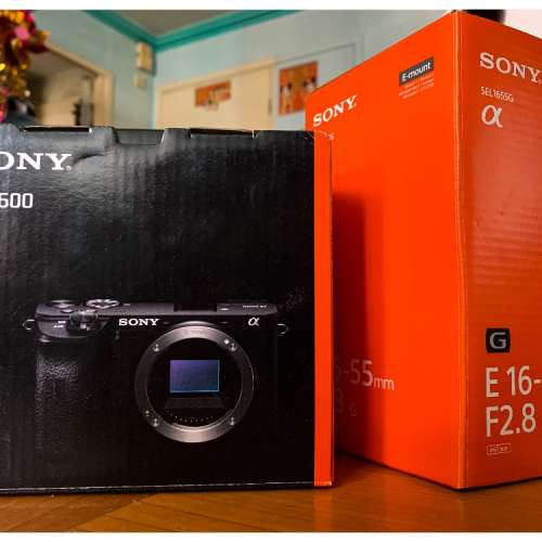 Sony A6600 with 16-55 f2.8G