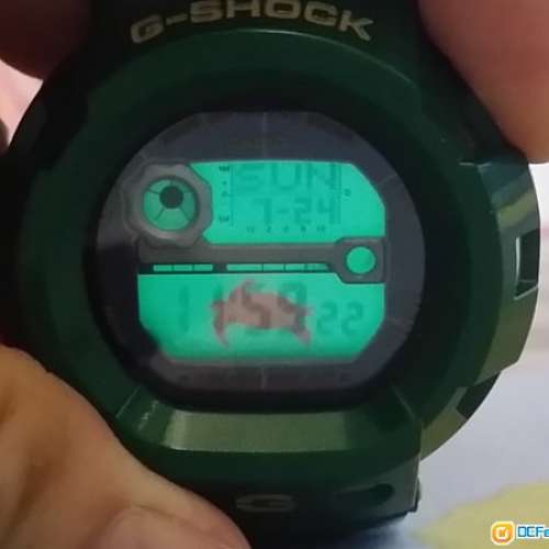 Casio LE - 綠海龜