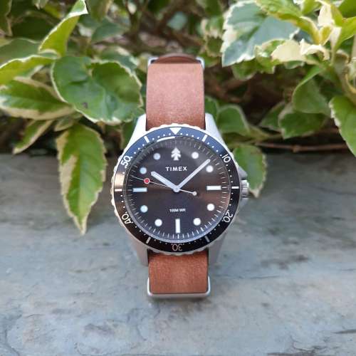 Timex Diver X  Huckberry (not Seiko 精工)