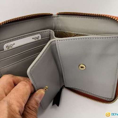 💢蝕本清貨💢  100%全新正版Salad真皮銀包