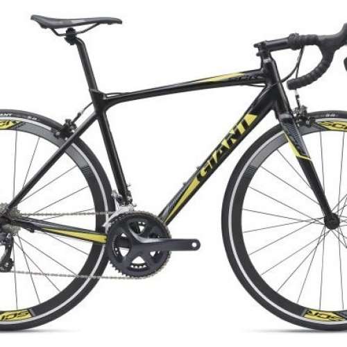 2019 GIANT SCR 1 18