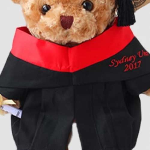 (DIY訂製畢業公仔，可刺繡中英文名，及選擇不同公仔）全新反送中，Line,史迪仔，米...