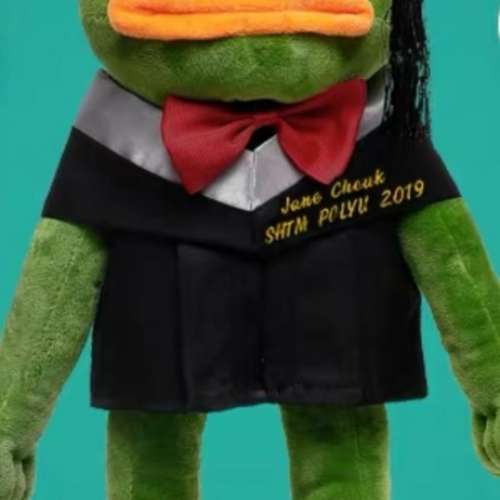 (DIY訂製畢業公仔，可刺繡中英文名，及選擇不同公仔）全新反送中，Line,史迪仔，米...