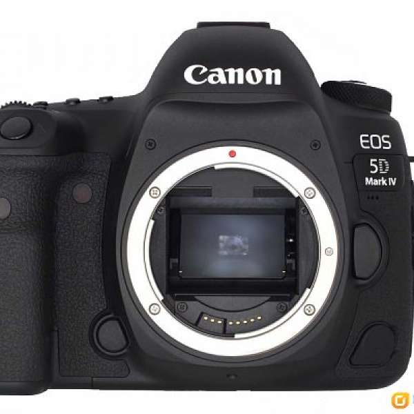 99新Canon 5D MarkIV 5D4，5個月行貨，7千配件，600EX，24-70F2.8II70-200IS可換EO...